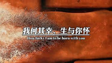 新开放2个停车场,闵行文化公园周边拥堵有望缓解丨代表委员风采